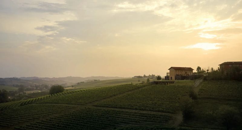 LE MARNE RELAIS - MONTEGROSSO D'ASTI  - Asta ASTA A TEMPO | AIRC - Pandolfini Casa d'Aste