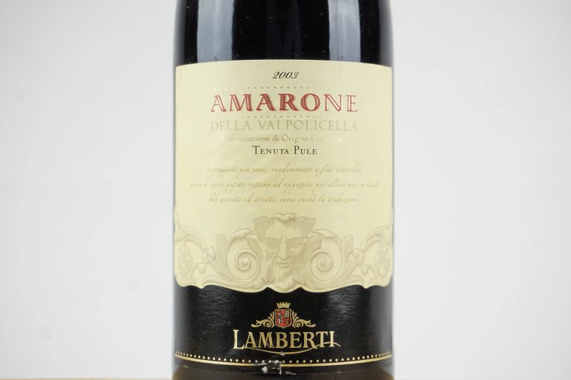 Amarone della Valpolicella Tenuta Pule Lamberti 2003  - Asta ASTA A TEMPO | Smart Wine - Pandolfini Casa d'Aste