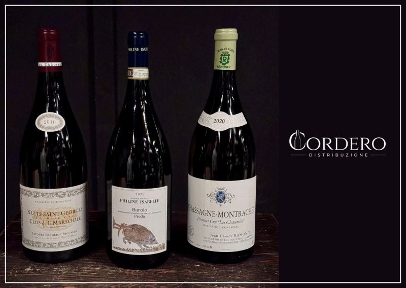 



Selezione Cordero Distribuzione   - Asta PANDOLFINI PER AMICI DI URI - ASTA BENEFICA PER SOSTENERE LA RICERCA SCIENTIFICA UROLOGICA - Pandolfini Casa d'Aste