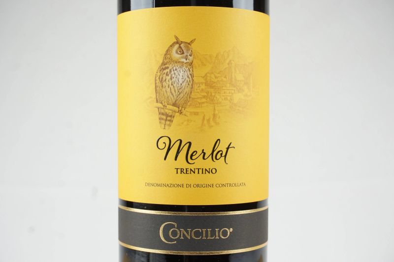      Merlot Trentino Concilio 2017   - Auction ONLINE AUCTION | Smart Wine & Spirits - Pandolfini Casa d'Aste