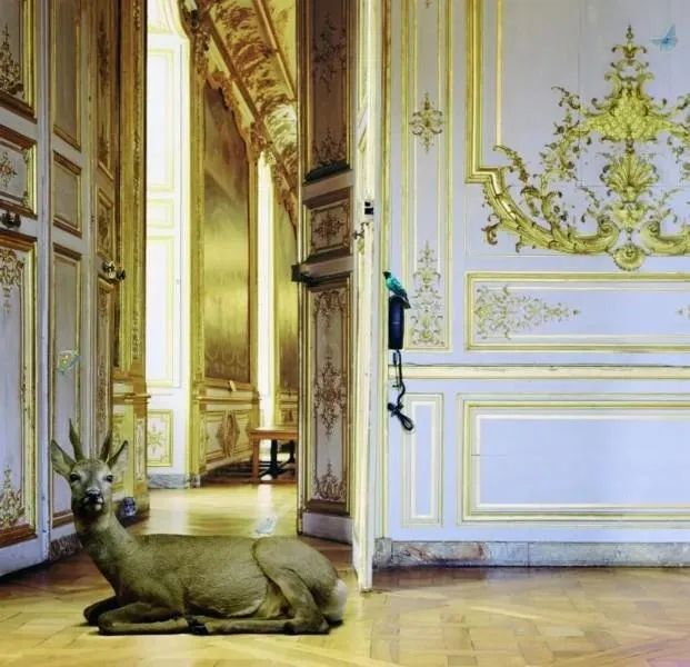 KAREN KNORR  - Asta Arte Moderna e Contemporanea - Pandolfini Casa d'Aste