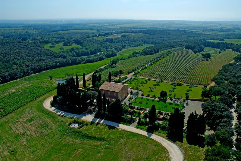 TENUTA DI BISERNO  - Auction AIRC - Pandolfini Casa d'Aste