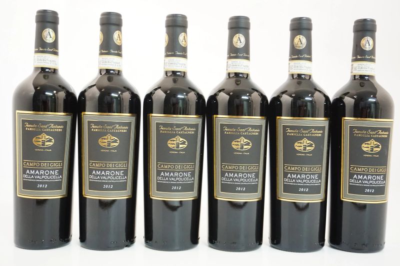      Amarone della Valpolicella Classico Campo dei Gigli Tenuta Sant&rsquo;Antonio 2012   - Asta ASTA A TEMPO | Smart Wine & Spirits - Pandolfini Casa d'Aste