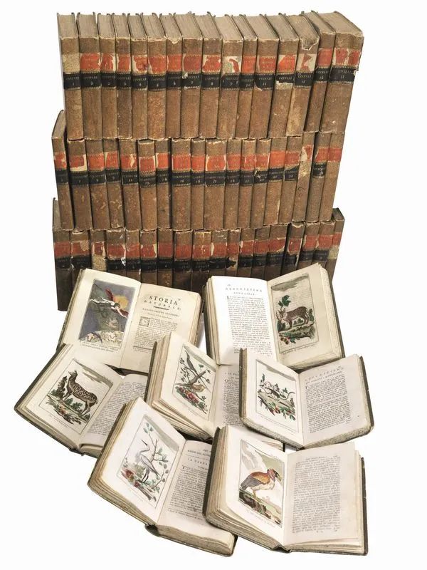 (Scienze naturali  Illustrati 700) BUFFON, Georges Louis. Storia naturale,  - Auction Books, manuscripts and autographs - Pandolfini Casa d'Aste