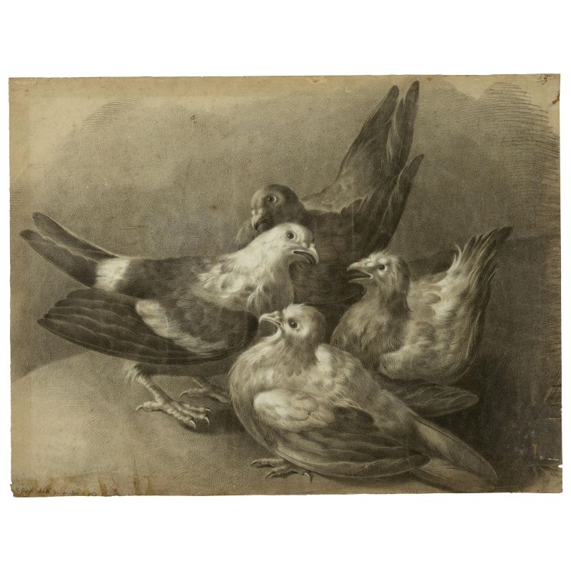 Francesco Basoli : 



Francesco Basoli   - Auction WORKS ON PAPER - Pandolfini Casa d'Aste