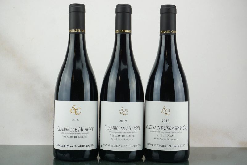 Selezione Domaine Sylvain Cathiard  - Auction LA RAFFINATEZZA DELLA COMPLESSITA' - Fine and Rare Wine - Pandolfini Casa d'Aste