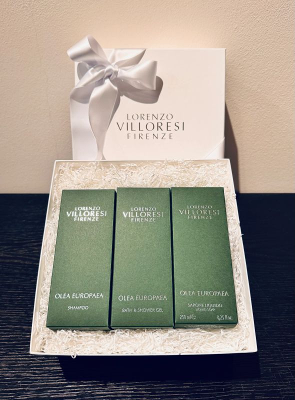 LORENZO VILLORESI - Firenze  - Asta AIRC - Pandolfini Casa d'Aste