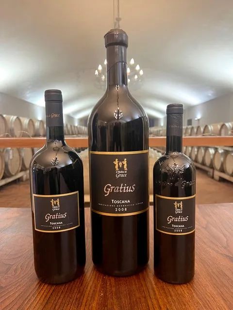 Il Molino di Grace  - Auction The Fine Art of Wine: A Grand Tour - Pandolfini for Friends of Florence - Pandolfini Casa d'Aste