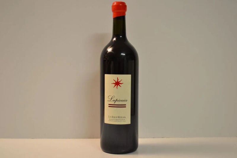 Lupicaia Castello del Terriccio 1999  - Auction Fine Wines from Important Private Italian Cellars - Pandolfini Casa d'Aste