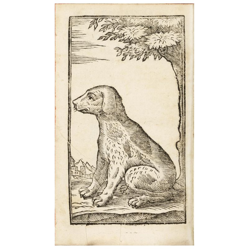 Una delle prime opere sulla caccia col fucile  - Asta LIBRI, MANOSCRITTI E AUTOGRAFI - Pandolfini Casa d'Aste