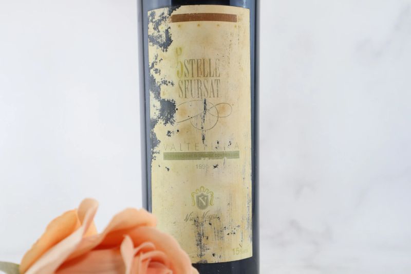 5 Stelle Sfursat Nino Negri 1999  - Asta Smartwine 2.0 | Fleurs de Vigne - Pandolfini Casa d'Aste