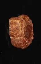 ANELLO&nbsp;&nbsp;&nbsp;&nbsp;&nbsp;&nbsp;&nbsp;&nbsp;&nbsp;&nbsp;&nbsp;&nbsp;&nbsp;&nbsp;&nbsp;&nbsp;&nbsp;&nbsp;&nbsp;&nbsp;&nbsp;&nbsp;&nbsp;&nbsp;&nbsp;&nbsp;&nbsp;&nbsp;&nbsp;&nbsp;&nbsp;&nbsp;&nbsp;&nbsp;&nbsp;&nbsp;&nbsp;&nbsp;&nbsp;&nbsp;&nbsp;&nbsp;&nbsp;&nbsp;&nbsp;&nbsp;&nbsp;&nbsp;&nbsp;&nbsp;&nbsp;&nbsp;&nbsp;&nbsp;&nbsp;&nbsp;&nbsp;&nbsp;&nbsp;&nbsp;&nbsp;&nbsp;&nbsp;&nbsp;&nbsp;&nbsp;&nbsp;&nbsp;  - Auction Antiquities - Pandolfini Casa d'Aste