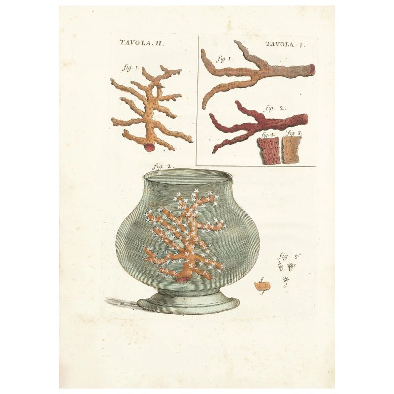 Marsigli, Luigi Ferdinando. Brieve ristretto del saggio fisico intorno alla storia del mare. Venezia, Poletti, 1711.  - Auction BOOKS, MANUSCRIPTS,  AUTOGRAPHS AND PRINTS - Pandolfini Casa d'Aste