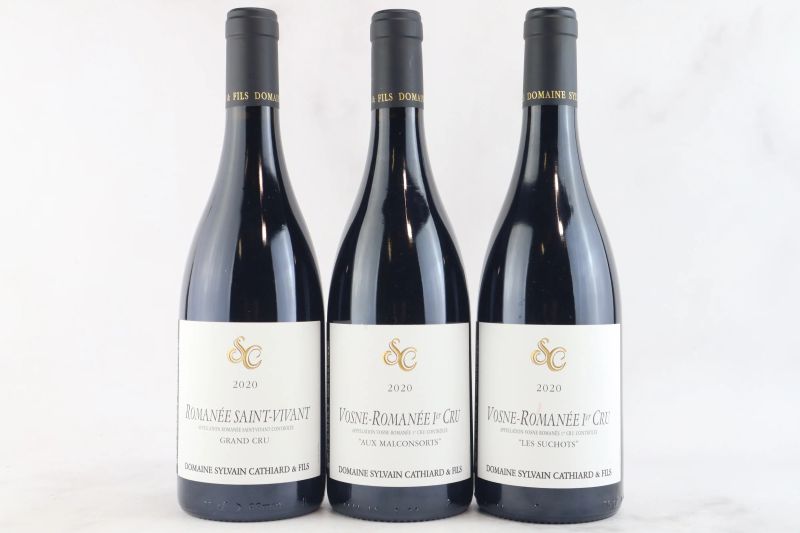 



Selezione Domaine Sylvain Cathiard 2020  - Auction La Joie du Vin - Fine and Rare Wine - Pandolfini Casa d'Aste