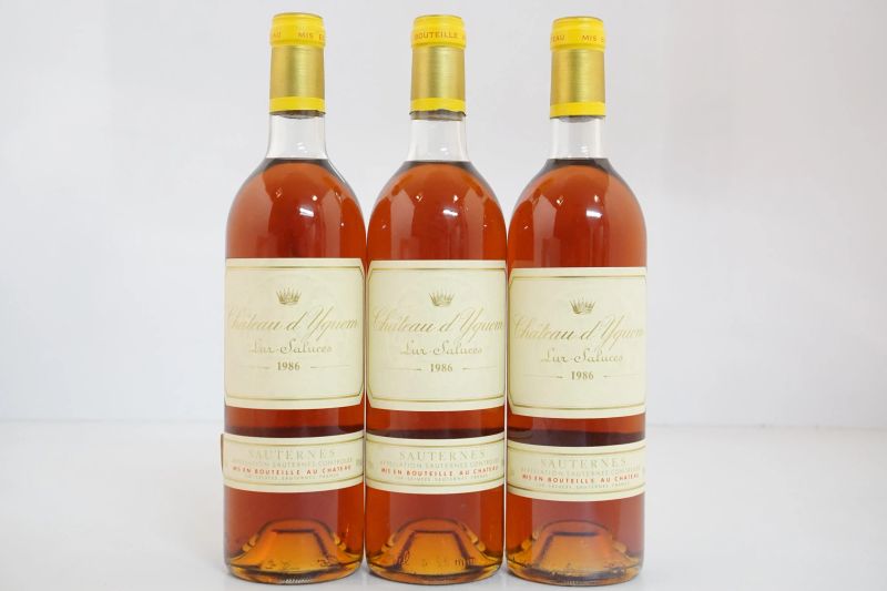      Ch&acirc;teau d&rsquo;Yquem 1986   - Auction Wine&Spirits - Pandolfini Casa d'Aste