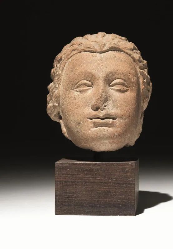 Testa maschile&nbsp;&nbsp;&nbsp;&nbsp;&nbsp;&nbsp;&nbsp;&nbsp;&nbsp;&nbsp;&nbsp;&nbsp;&nbsp;&nbsp;&nbsp;&nbsp;&nbsp;&nbsp;&nbsp;&nbsp;&nbsp;&nbsp;&nbsp;&nbsp;&nbsp;&nbsp;&nbsp;&nbsp;&nbsp;&nbsp;&nbsp;&nbsp;&nbsp;&nbsp;&nbsp;&nbsp;&nbsp;&nbsp;&nbsp;&nbsp;&nbsp;&nbsp;&nbsp;&nbsp;&nbsp;&nbsp;&nbsp;&nbsp;&nbsp;&nbsp;&nbsp;&nbsp;&nbsp;&nbsp;&nbsp;&nbsp;&nbsp;&nbsp;&nbsp;&nbsp;  - Auction Antiquities - Pandolfini Casa d'Aste