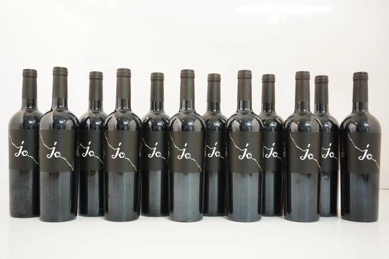      Negroamaro Jo Gianfranco Fino 2012   - Asta ASTA A TEMPO | Smart Wine & Spirits - Pandolfini Casa d'Aste