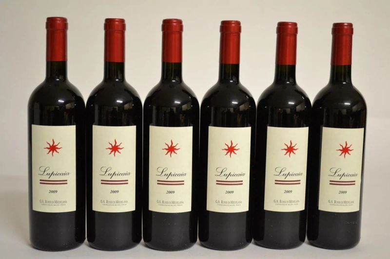 Lupicaia Castello del Terriccio 2009  - Auction PANDOLFINI FOR EXPO 2015: Finest and rarest wines - Pandolfini Casa d'Aste