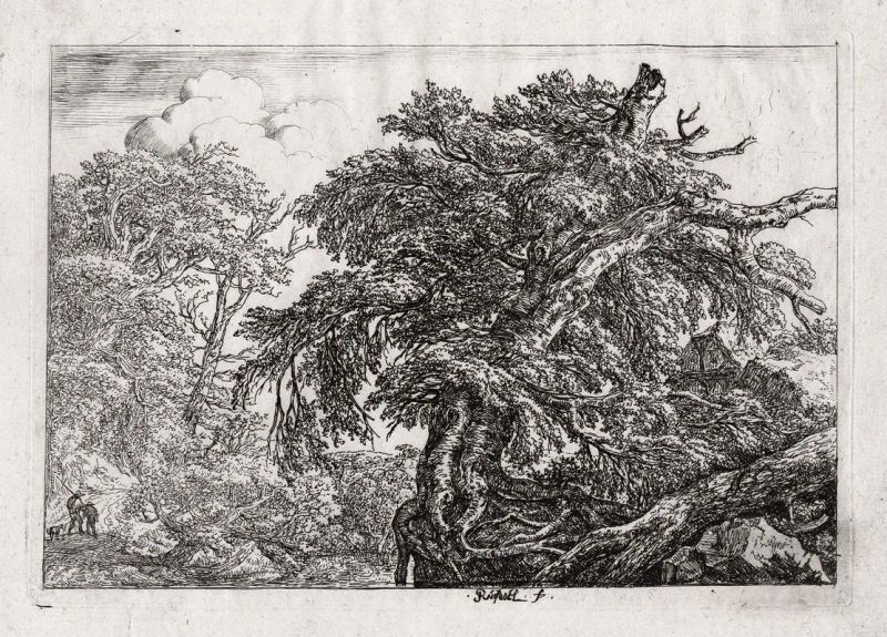 Van Ruysdael, Jacob  - Auction Prints and Drawings - Pandolfini Casa d'Aste